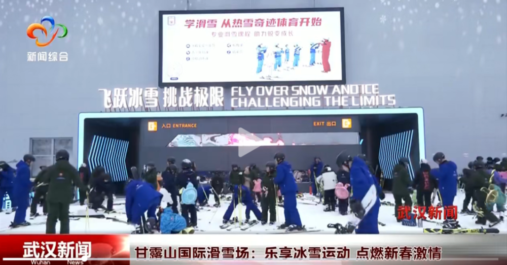 球迷的激情