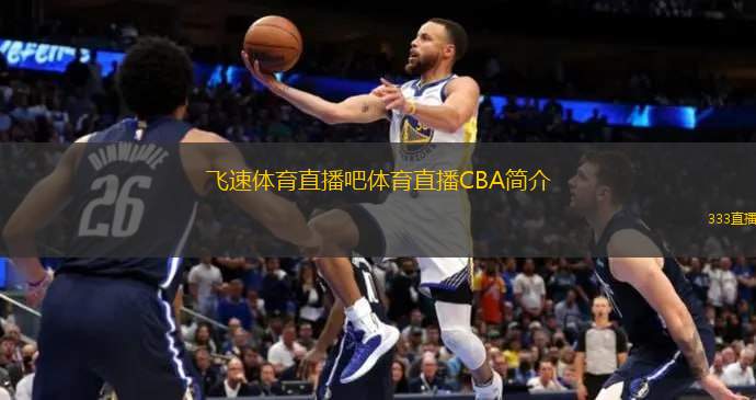 他所拥有的